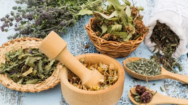 Plantes ayurvédiques et plantes médicinales, utilisées dans le massage tonifiant Udvartana